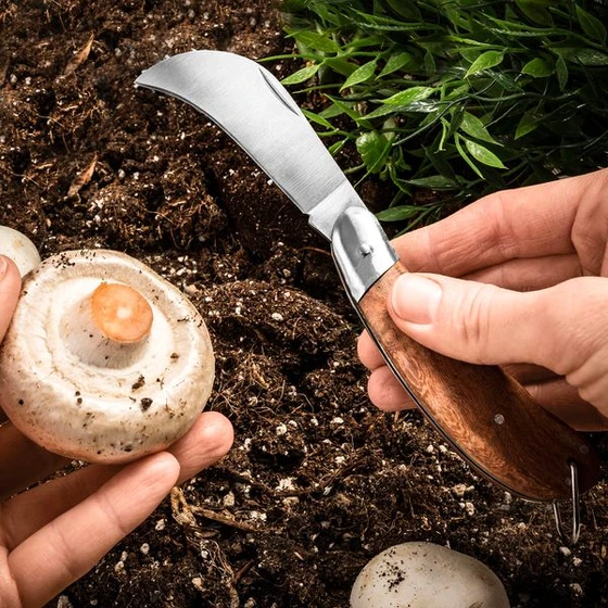 Nóż do grzybów i ogrodu